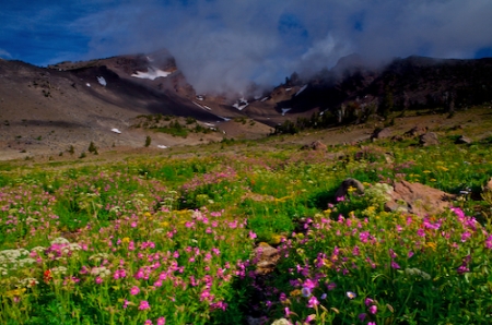 Warm light, mysterious clouds, exceptional flowers, and Broken Top.